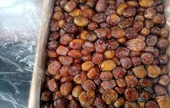تصویر 5 از خرید و قیمت خرمای خاصویی درجه یک + فروش عمده